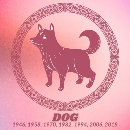 6 Chinese Zodiac Signs About to Ride a Crazy Wave of Luck on June 1, 2025 — Are You One of the Chosen Few?