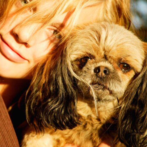 Are You the Human Version of Your Pet? Science Spills the Hilarious Truth Behind Your Doppelgänger Duo!