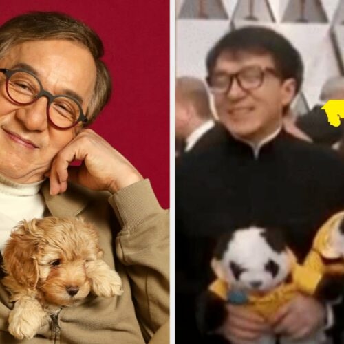 Jackie Chan’s Hidden Puppy Obsession Revealed: These Photos Are Too Cute to Handle—And You’ll Never Guess What Happens Next!