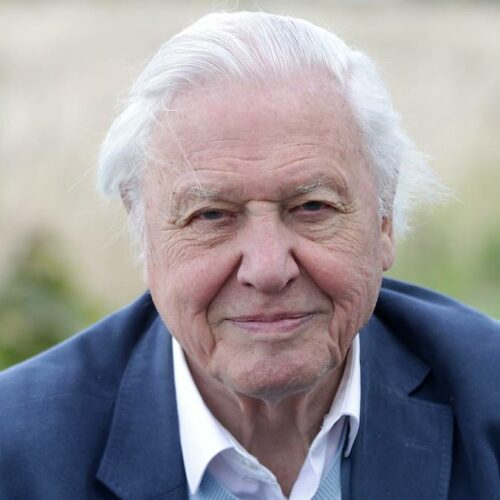 David Attenborough’s Near-Death Dive: The Scuba Experience That Almost Turned Into His Final Episode!
