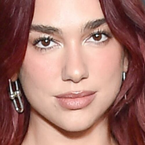 Dua Lipa’s Sheer G-String Dress Has the Internet Divided — Is It Fashion Forward or Just Plain Trashy?