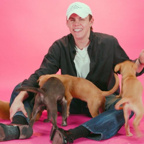 The Kid LAROI’s Puppy Interview Is So Adorable, It Might Just Predict His Next Chart-Topping Hit—Wait Till You See These Heart-Melting Moments!