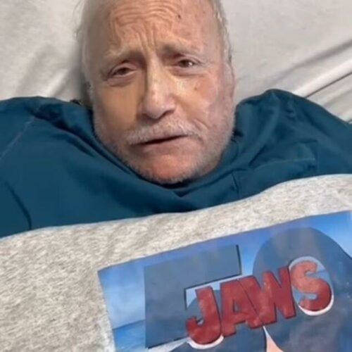 Richard Dreyfuss Drops Bombshell Health Bomb, SharkCon Fans Left Hanging in Suspense—What’s Really Going On?