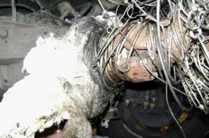 Why Getting ‘Wrapped Around the Axle’ Could Be the Best (and Weirdest) Life Lesson Your Zodiac Didn’t Warn You About!