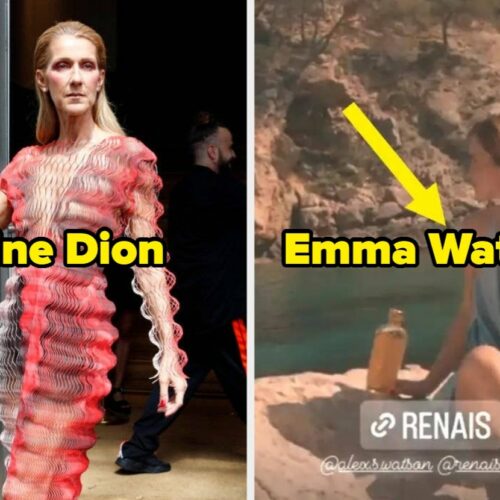 18 Celebrity Dresses So Tricky, Even Your Zodiac Sign Might Get Confused—Can You Spot the Illusion?