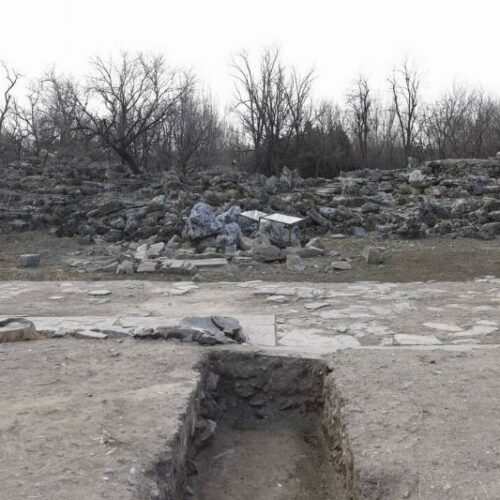 Ancient Human DNA Just Spilled the Tea — And Trust Me, You’ll Want to Hear What It Said!