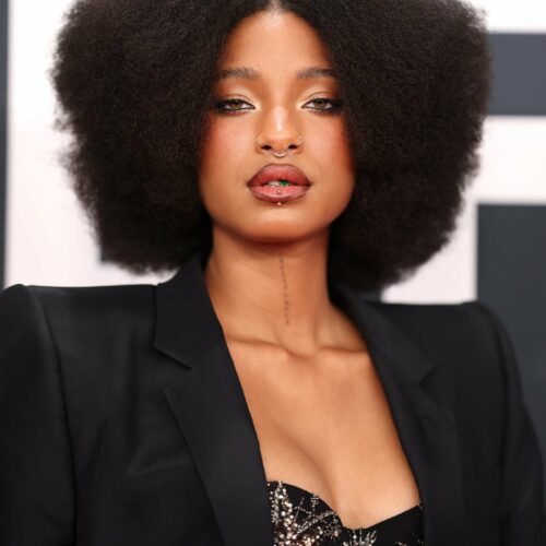 Willow Smith’s Raw, Tear-Streaked Selfie: Painful Breakdown or Bold New Chapter?