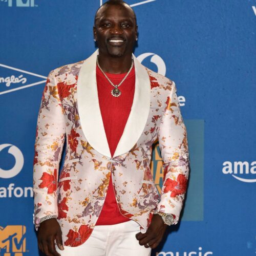 Akon’s Divorce Drama Just Leveled Up: Polygamy, 9 Kids, and Secrets That Could Shake the Courts!