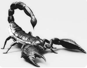 Double Scorpio Delusional Criminal: The Sinister Synastry Secret That’ll Make You Question Everything You Know About Zodiac Crimes!