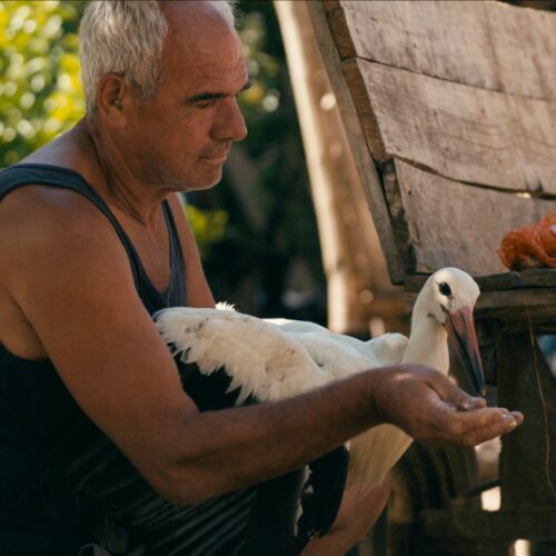 Nat Geo’s Secret Weapon? ‘The Tale of Silyan’ Shakes Up Oscars After Venice Win—Is This the Underdog Doc That’ll Outshine All the Stars?