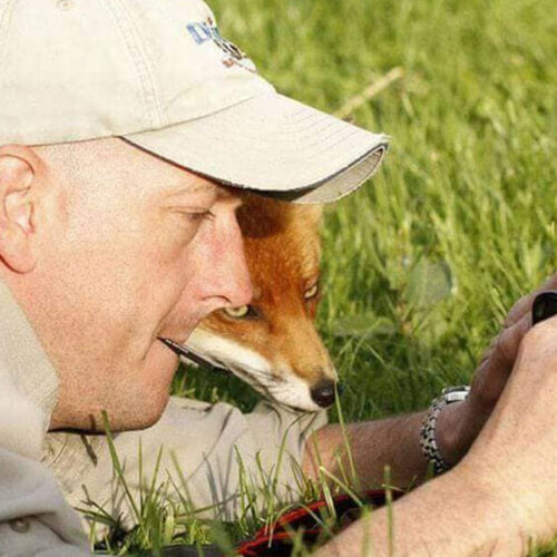 Caught on Camera: These Animals’ Reluctant Pouts Could Make Even Your Most Awkward Selfies Jealous!