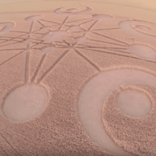 “Drones Caught What?! Spine-Tingling Shots That’ll Make You Question Reality (and Maybe Your Life Choices)”