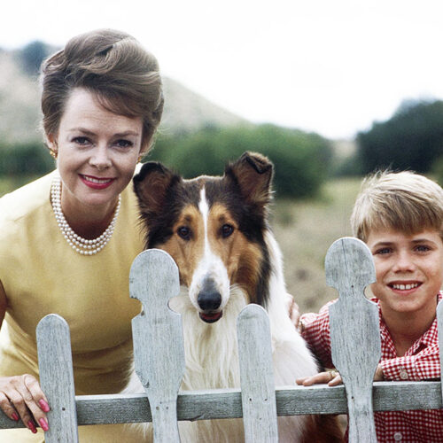 June Lockhart’s Century-Long Journey from Lassie’s Loving Mom to Sci-Fi Icon — Secrets You Never Knew!