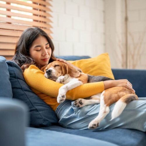 What Animals Know About Love That Your Horoscope Probably Missed — And Why You’re Missing Out Too!