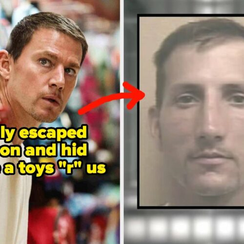 You Won’t Believe These 15 Crazy True Stories Behind Your Favorite Movies and Shows—The Plot Twists Are Stranger Than Fiction!