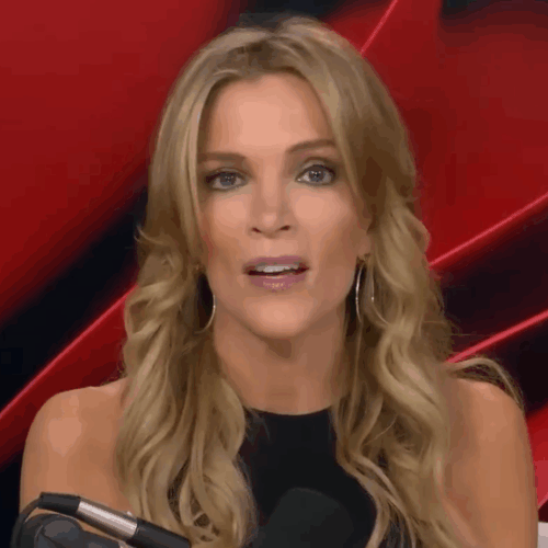 Megyn Kelly’s Shocking Email Reveal: Why She Claims Jeffrey Epstein Was “Technically” NOT a Pedophile — Wait, What?!