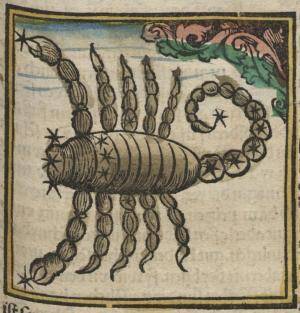 New Moon in Scorpio 2025: The Cosmic Plot Twist That’ll Flip Your Life Like a Script Rewrite—Brace Yourself!