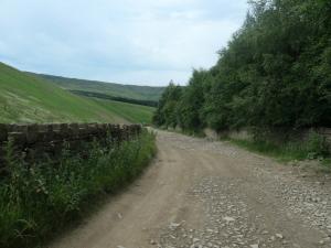 Unlock the Cosmic Cheat Code: How You’re Secretly Manifesting Reality From Absolutely Nada (And Why the Universe Is Taking Notes)