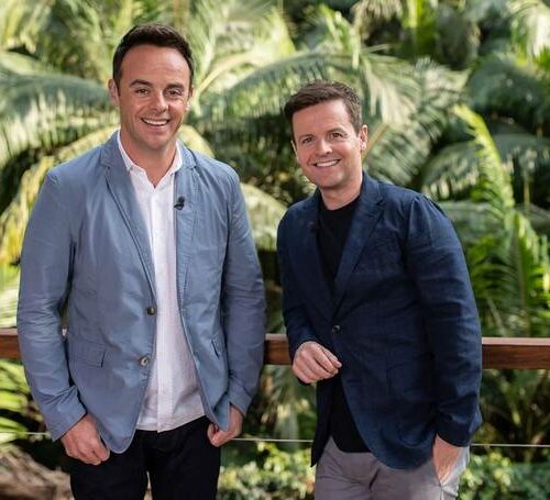 Wait, Ant and Dec’s “Third Wheel” Has Been Secretly Killing It For 20 Years — And You’ve Never Even Heard Of Them!