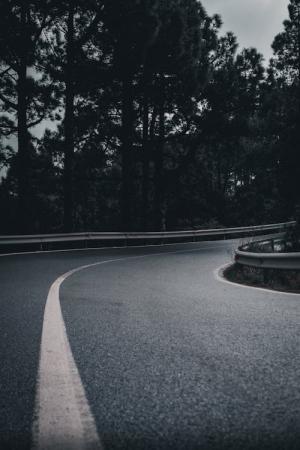 Why Bending The Road Might Just Be The Rebel Move The Law of Assumption Didn’t See Coming (And Why Your Horoscope Is Shook)