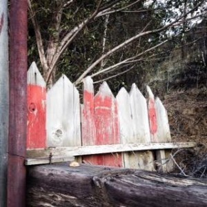 Why Painting the Fence This Weekend Could Spark More Than Just Romance—Astrologers Reveal the Juicy Cosmic Secrets You Can’t Miss!