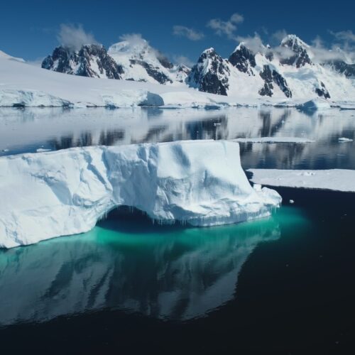 You Won’t Believe What These 14 Iceberg Secrets Reveal—Hint: It’s Cooler Than Your Ex’s Chill Factor!