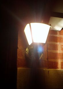 Is Your Life Secretly Cosmic—and Does It Actually Matter More Than You Think?