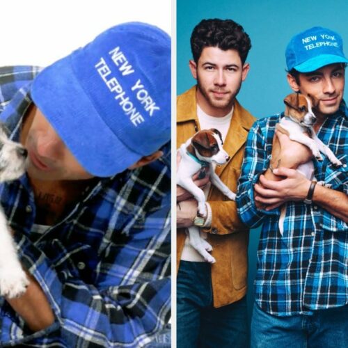 Jonas Brothers Spill Puppy Secrets That Are Actually Wilder Than Their Latest Album—You Won’t Believe What They Just Revealed!