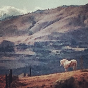 This Week&rsquo;s Sagittarius New Moon: Your Cosmic Permission Slip to Ditch Boring and Embrace Total Life Chaos (In a Good Way)