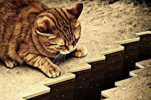 Why We’re Stuck in the “In Between” Zone — And What Your Stars Say About This Cosmic Cliffhanger!