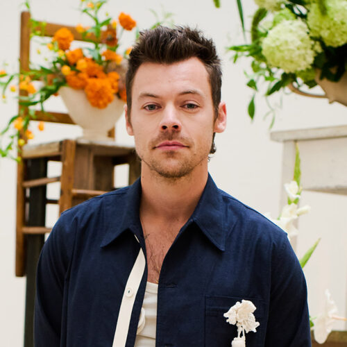 Harry Styles Broke the Internet (and Maybe a Few Nail Extensions): Why 11.5 Million Fans Are Battling for Just a Few Golden Tickets to His MSG Residency