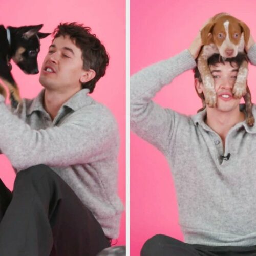 Tom Blyth Juggles Puppies and Juicy &ldquo;People We Meet On Vacation&rdquo; Secrets&mdash;You Won&rsquo;t Believe What He Spilled!