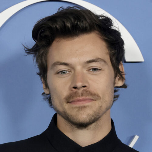 Will Harry Styles Steal the Grammy Spotlight&mdash;Or Just Their Hearts (Again)?