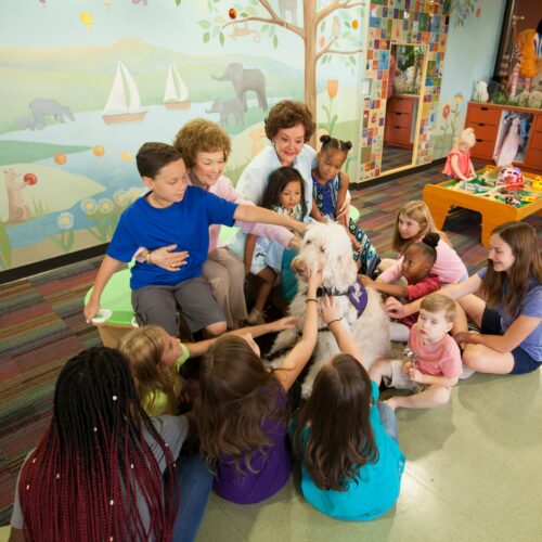 Yvonne Lime Fedderson&rsquo;s Hollywood Secrets Unveiled: The Untold Drama Behind &lsquo;I Was a Teenage Werewolf&rsquo; Star&rsquo;s Life at 90!