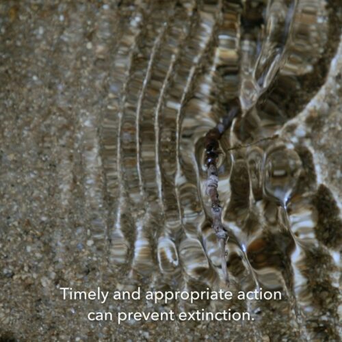 Could This Mind-Bending Sci-Fi Doc &lsquo;Hungry&rsquo; Actually Serve Up the Recipe to Dodge Our Own Extinction?