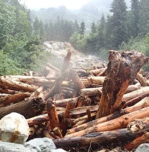 "Cosmic Drama Unleashed: Is Jupiter’s Backward Shuffle and Mars-Mercury Tango the Key to Your Next Big Break?"