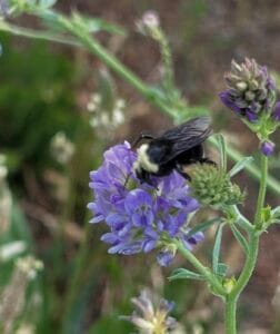 "Is Your Love Life About to Spark? Find Out What Jupiter and Mars Have in Store This Weekend!"