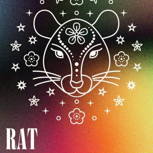 "Prepare for a Cosmic Glow-Up: These 4 Chinese Zodiac Signs Are About to Shine Brighter Than Ever After April 16!"