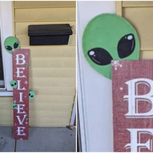 "Santa’s Secret: Discover the Outrageous Decorations That Are Making Elves Everywhere Laugh This Holiday Season!"