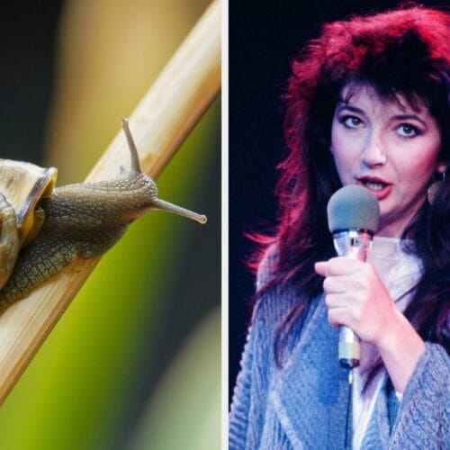 "Think You're a Trivia Titan? Only the Wisest Can Conquer This Pub Quiz Challenge!"