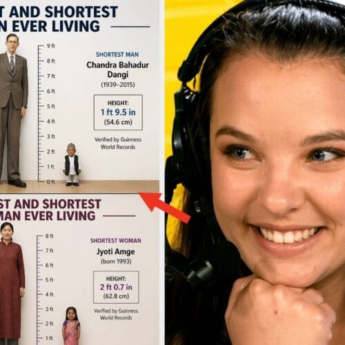 "Unlocking the Secrets of Life: 40 Charts That Prove You’re Not as Smart as You Think!"