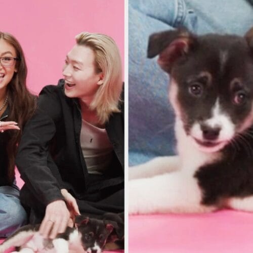 "Watch Anna Cathcart and Sang Heon Lee Unleash Their Inner Puppy Whisperers While Spilling Secret 'XO, Kitty' Scoop!"