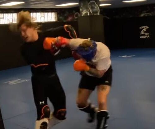 "From Punchlines to Punches: Influencer Takes on Paddy the Baddy &ndash; But Who Really Got Knocked Out?"