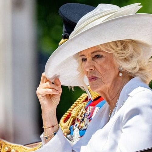 "Secrets and Surprises: Did Queen Camilla Become the Unlikely Matchmaker in Prince Harry's Royal Comeback?"