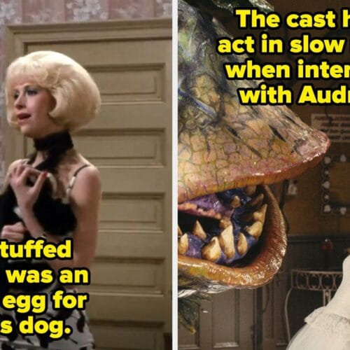 "Secrets, Scares, and a Little Shop of Surprises: Ellen Greene Reveals 7 Shocking Behind-the-Scenes Tales from 40 Years of Cult Classic Chaos!"