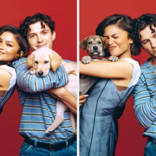 "Tom Holland and Zendaya Unleash Adorable Chaos in Their Puppy Interview&mdash;You Won't Believe What Happens Next!"