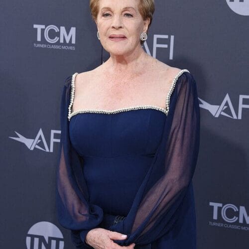 "Anne Hathaway Spills the Tea: What Julie Andrews' 'No' to 'The Princess Diaries 3' Means for Movie Magic!"