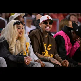"Chris Brown Calls Foul on $13M Dog Bite Verdict: Is Rihanna's Shadow the Real Culprit?"