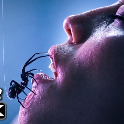"Get Ready to Scream: The Crawlers Trailer Serves Up a Spidery-Slash of Terror That Will Haunt Your Dreams!"