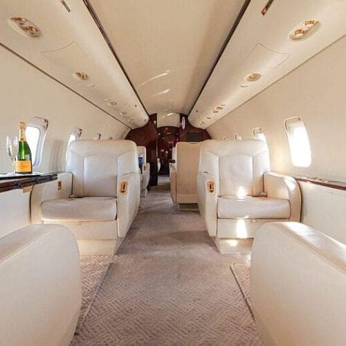 "Inside the $37,000 Private Jet: Was ‘Let’s Marry Harry’ Just a Wild Ride or the Start of Something Cosmic?"